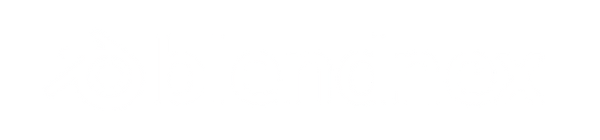 BlendNex®Portable Blender